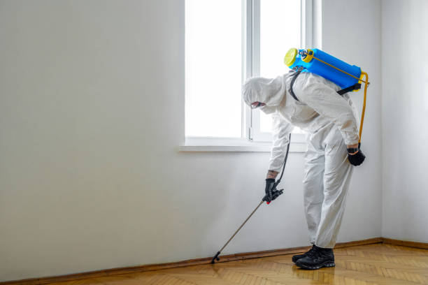 Best Fumigation Services  in Maumelle, AR